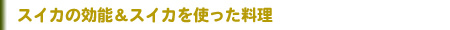 XCJ̌\