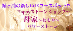 tY̐Vp[X|bg!?@HappyXg[ Vbv`@Ɓ@``@p[Xg[